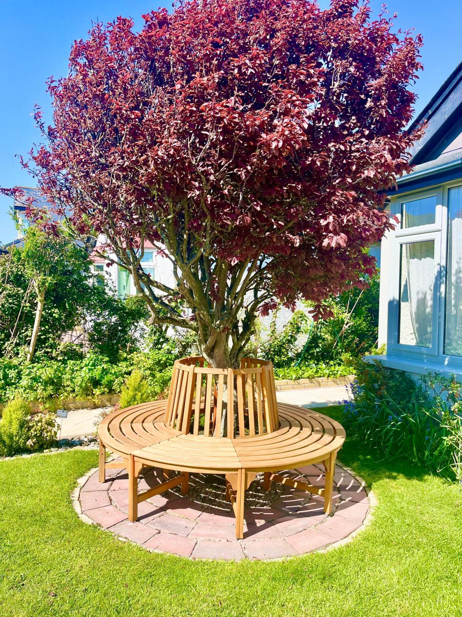 The Artist Residence Dublin Boutique B&B Sutton Luaran gambar